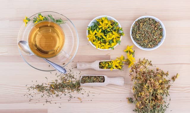 miniature représentant Consultation initiale-bilan de vitalité