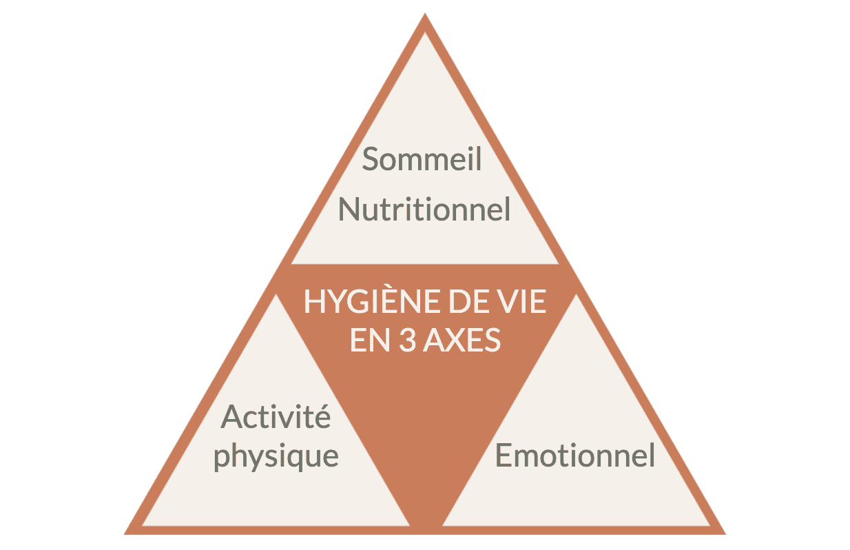 schéma d'une pyramide décrivant les 3 axes de l'hygiène de vie